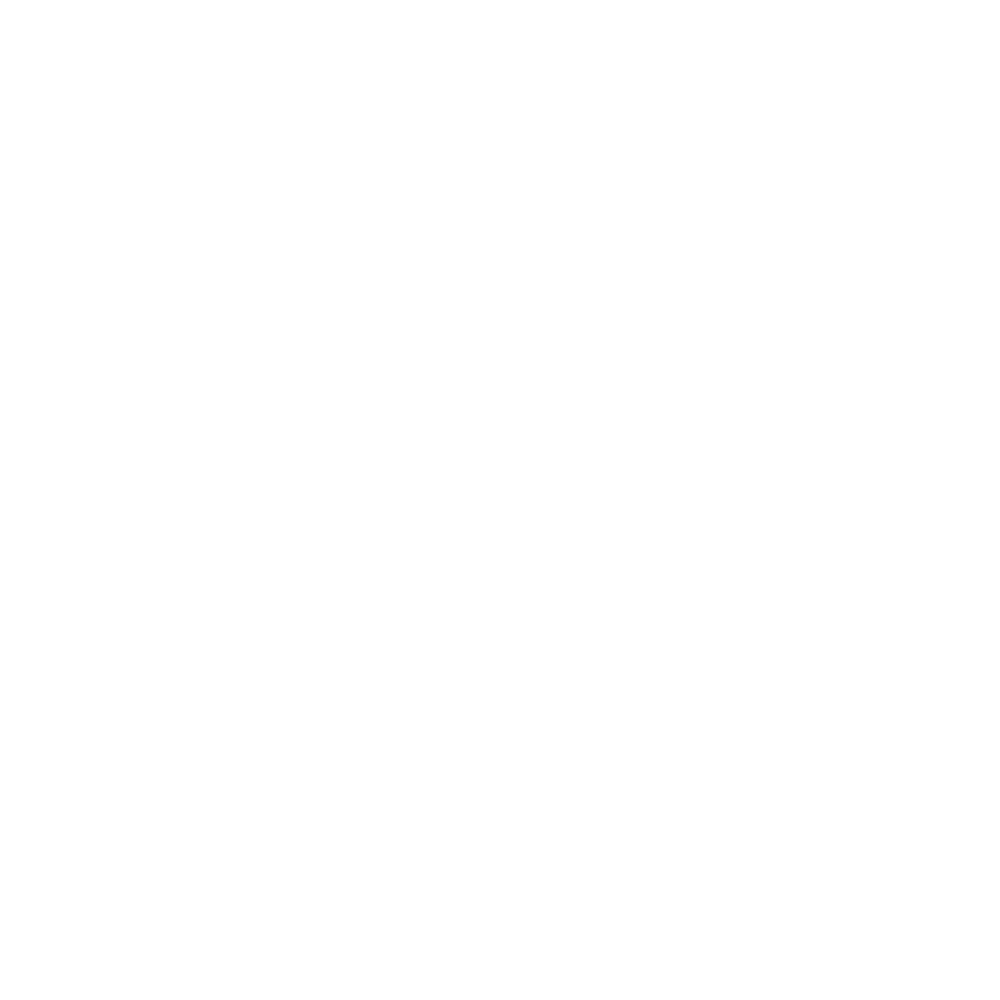 Pioneer